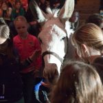 Apassionata 2013 in Ahoy Rotterdam